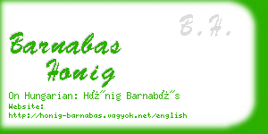 barnabas honig business card